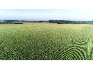Tillable & Wooded Farmland in Allen County, Indiana - LAND AUCTION - 184+/- ACRES OFFERED IN 3 TRACTS IN ALLEN COUNTY, INDIANA